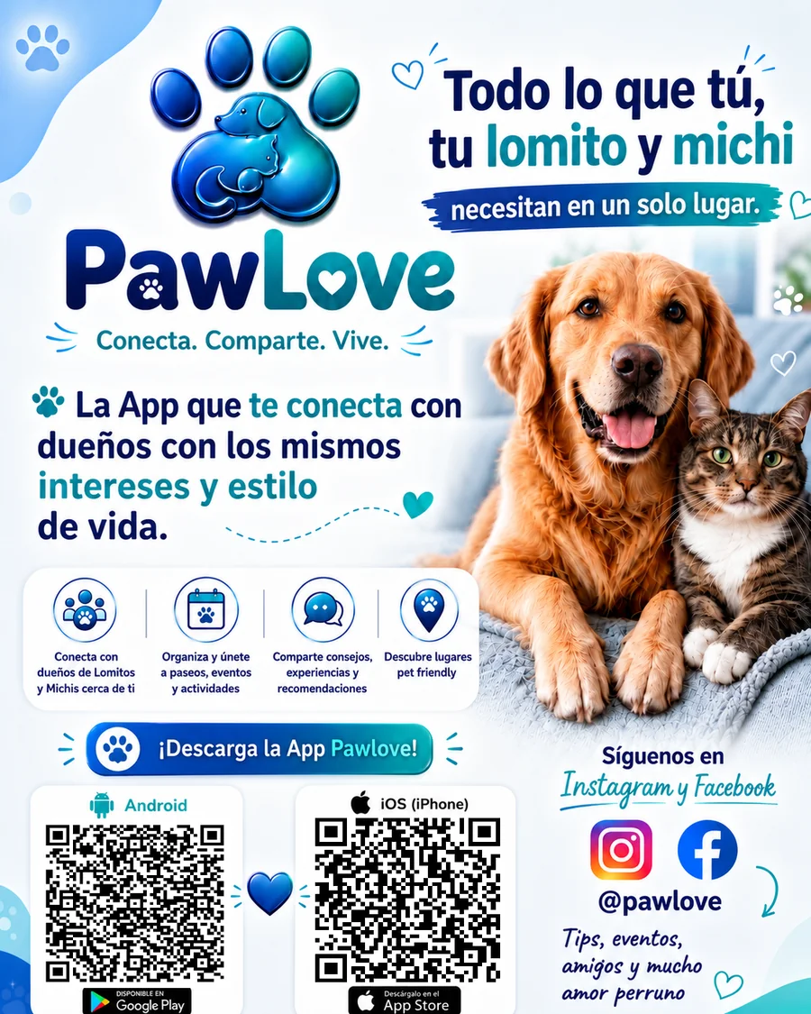 PawLove conecta a dueños y mascotas con intereses y estilo de vida en común